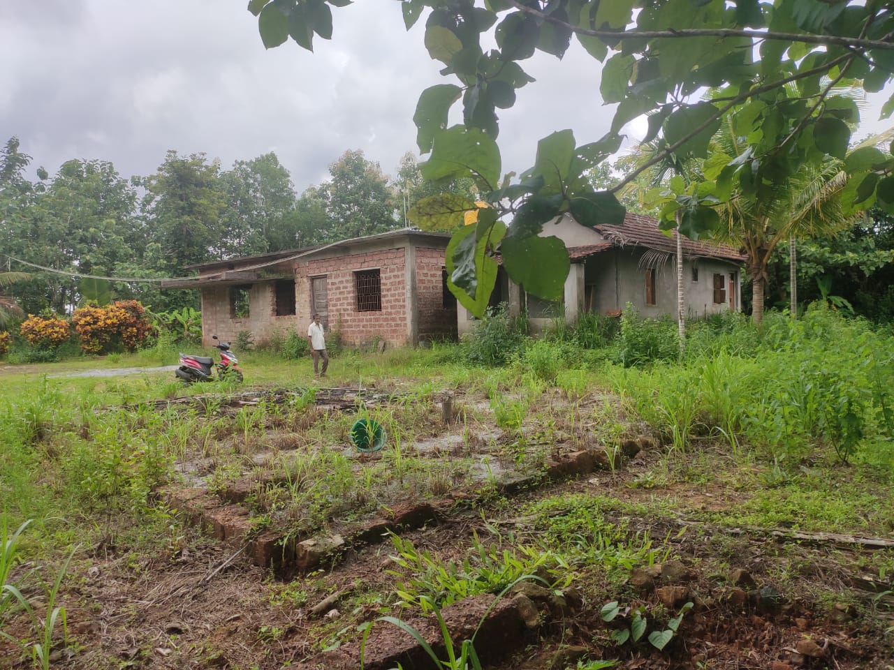 1.3 Acre Agriculture Land for sale at Moodbelle. Udupi Property