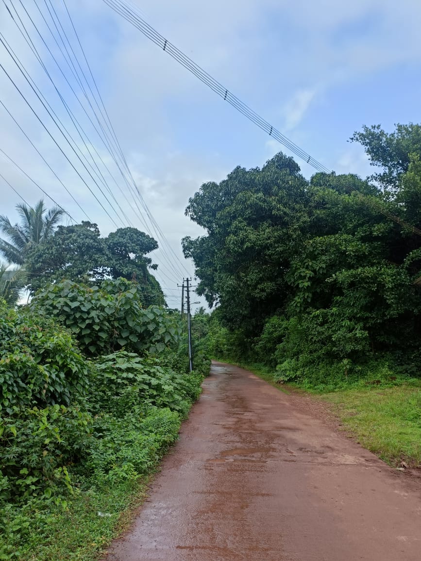 28-cents-land-for-sale-at-alangar-moodbidri-udupi-property