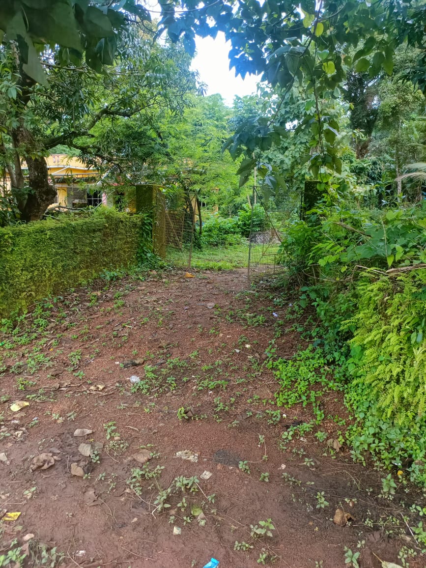 28-cents-land-for-sale-at-alangar-moodbidri-udupi-property